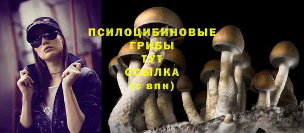 PSILOCYBIN Богданович